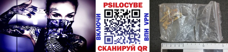 Псилоцибиновые грибы GOLDEN TEACHER  Купить  Архангельск 