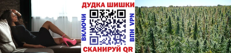 Канабис THC 21%  Купить закладки  Архангельск 
